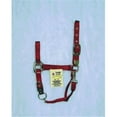 thumbnail image 1 of Hamilton Halter Company - Adjustable Chin Halter With Snap- Red Large - 1DAS LGRD, 1 of 1