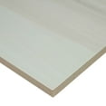 thumbnail image 3 of MSI Eden Dolomite 12 in. x 24 in. Polished Porcelain Floor And Wall Tile (16 Sq. Ft./Case), 3 of 5