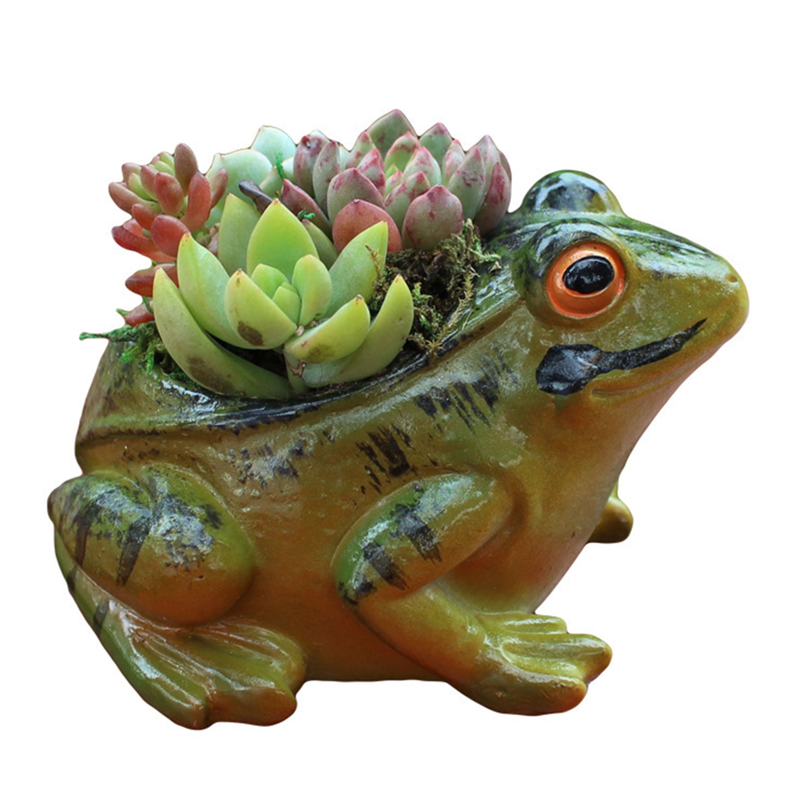 Succulent Flower Planter Pot Frog Decor Flowerpot Cute Apple Resin Crafts 