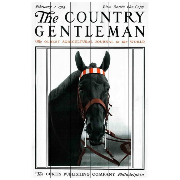 Marmont Hill Mh-Fmkit-28-Ww-45 45" X 30" "Cg Horse" Giclee Art Print On Wood