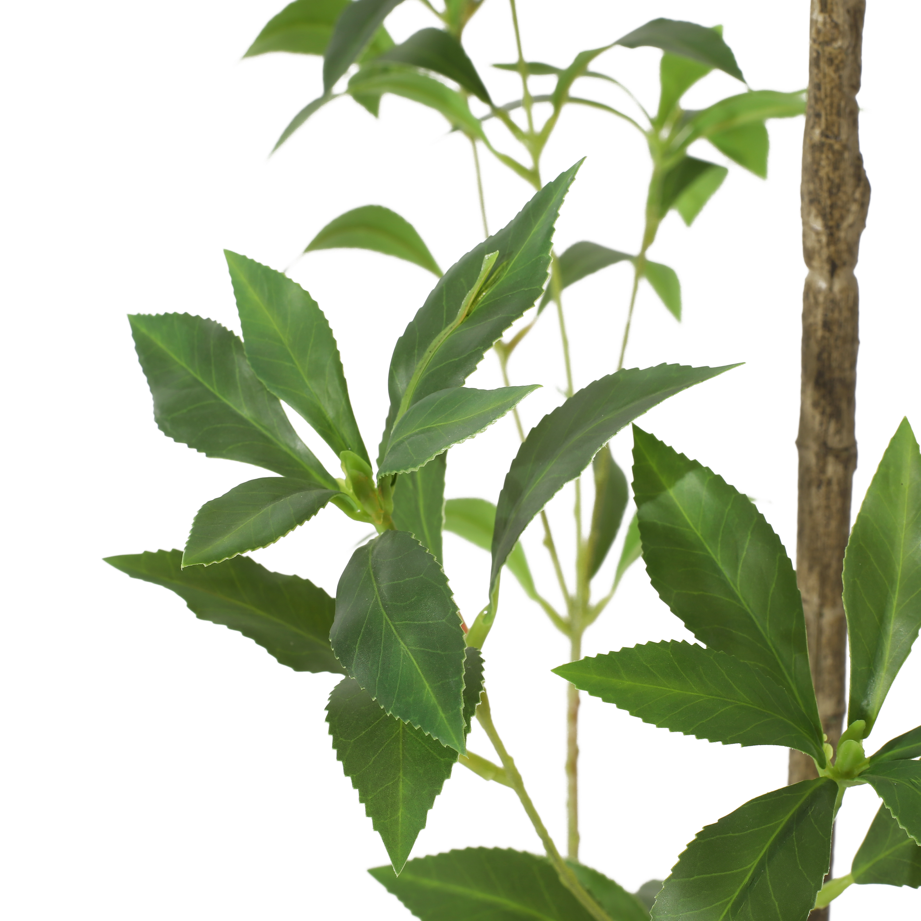 Euroco 7.8FT Artificial Pieris Tree, Fake Floor Potted Olive Silk Trees with Branches,Faux Silk Plant for Home Office Living Room Decor Indoor