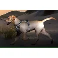 thumbnail image 4 of GenoSofi No Pull Dog Pet Harness, Adjustable Control Vest Dogs Reflective, 4 Sizes & 4 Colors, 4 of 8