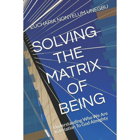 Solving the Matrix of Being : Understanding Who We Are In Relation To God Almighty (Paperback)
