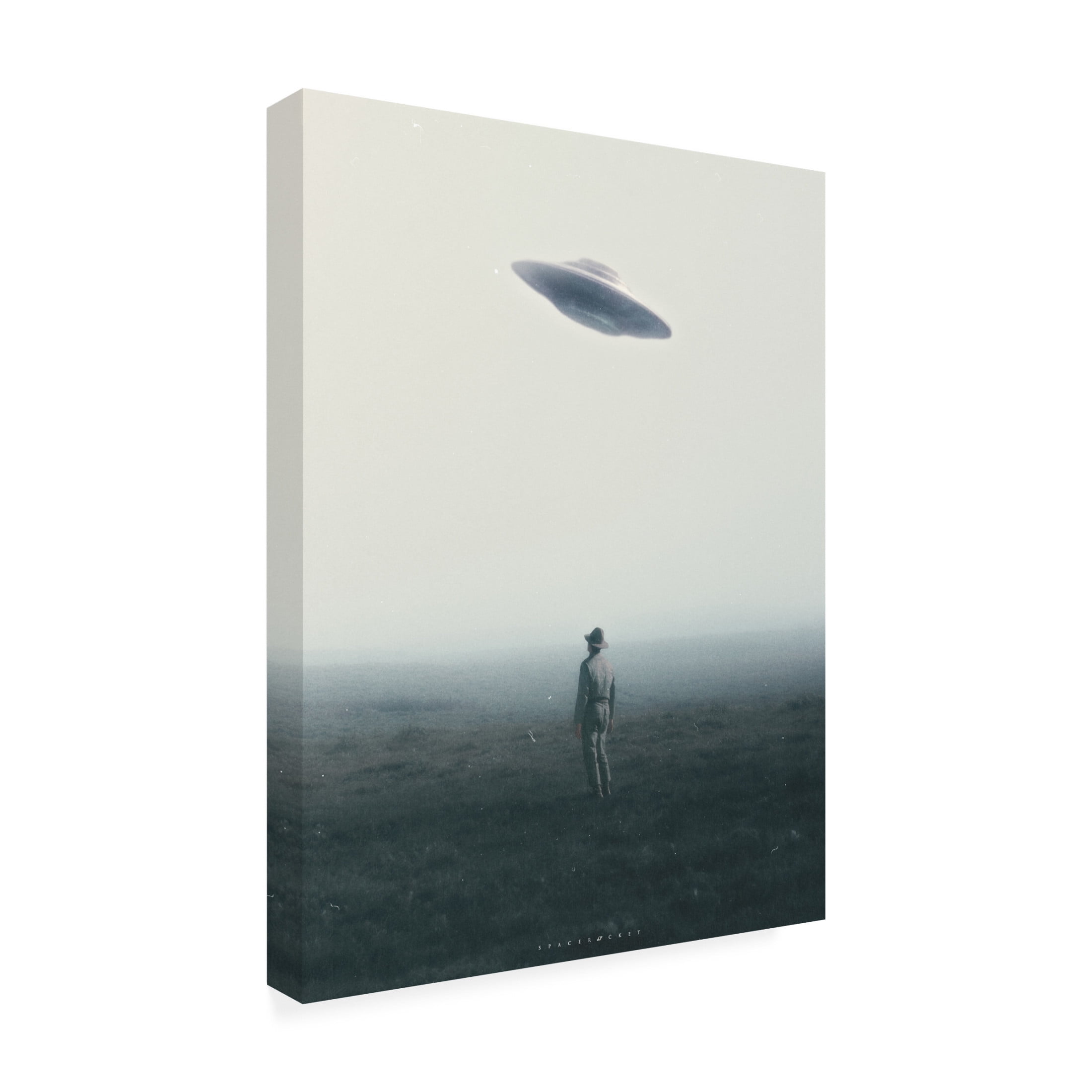 Trademark Fine Art spacerocket art  622 Canvas Wall Art