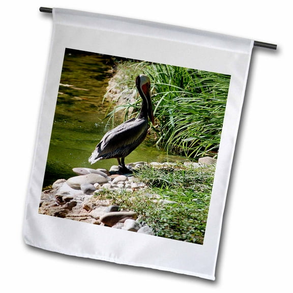 3dRose, Pelican, 12 x 18 inch Garden Flag