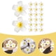 thumbnail image 5 of BRIGHTFUFU 20 horquillas para el pelo con flores de Plumeria, pinzas para el pelo con flores delicadas, pasador para mujeres y niñas, 5 of 8