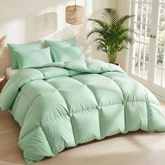 Mint Green Comforter Set, Twin, 2 Piece with Pillow Shams, Polyester, All Season, Modern Contemporary Style