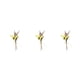 thumbnail image 5 of Wosthever Arreglos de hojas y flores secas ecológicos y sostenibles Ramo de flores secas naturales HS-09 Type1 NO1, 5 of 6