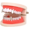 thumbnail image 3 of Metal Grillz Vampire Fangs Dracula Hip Hop Grills for Your Teeth, 3 of 4