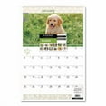 thumbnail image 7 of Puppies Monthly Wall Calendar, Puppies Photography, 15.5 x 22.75, White/Multicolor Sheets, 12-Month (Jan to Dec): 2026 | Bundle of 5, 7 of 7