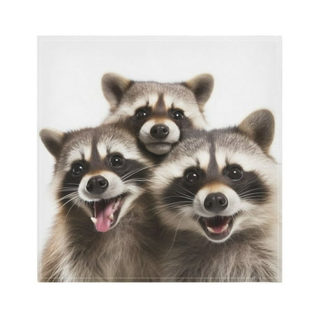 

JSTEL Cute Raccoons Cloth Napkins Set of 1 20x20 Inch Washable and Reusable Napkin for Decoupage Dinner Party Everyday Use