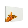 thumbnail image 2 of Trademark Fine Art 'A Kiss Of Orange' Canvas Art by Chris Moyer, 2 of 3