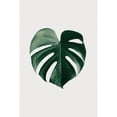 thumbnail image 2 of Artographie Studio 13x18 Black Modern Framed Museum Art Print Titled - Monstera Natural 24, 2 of 4