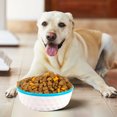 thumbnail image 4 of Bandeja de comida para perros, vajilla, cuenco antideslizante para perros y gatos, cuenco de plástico PP de color para mascotas, 4 of 5