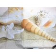 thumbnail image 2 of JOOCAR Imperméable Tissu Polyester Plage Douche Rideau Scène de l'Océan Rideau de Douche, Conque Coquillage Starfish Rideau de Douche, Ciel Bleu Océan Tropical Rideau de Douche pour la Décoration de Salle de Bains, 72X72 Pouces, 2 of 6