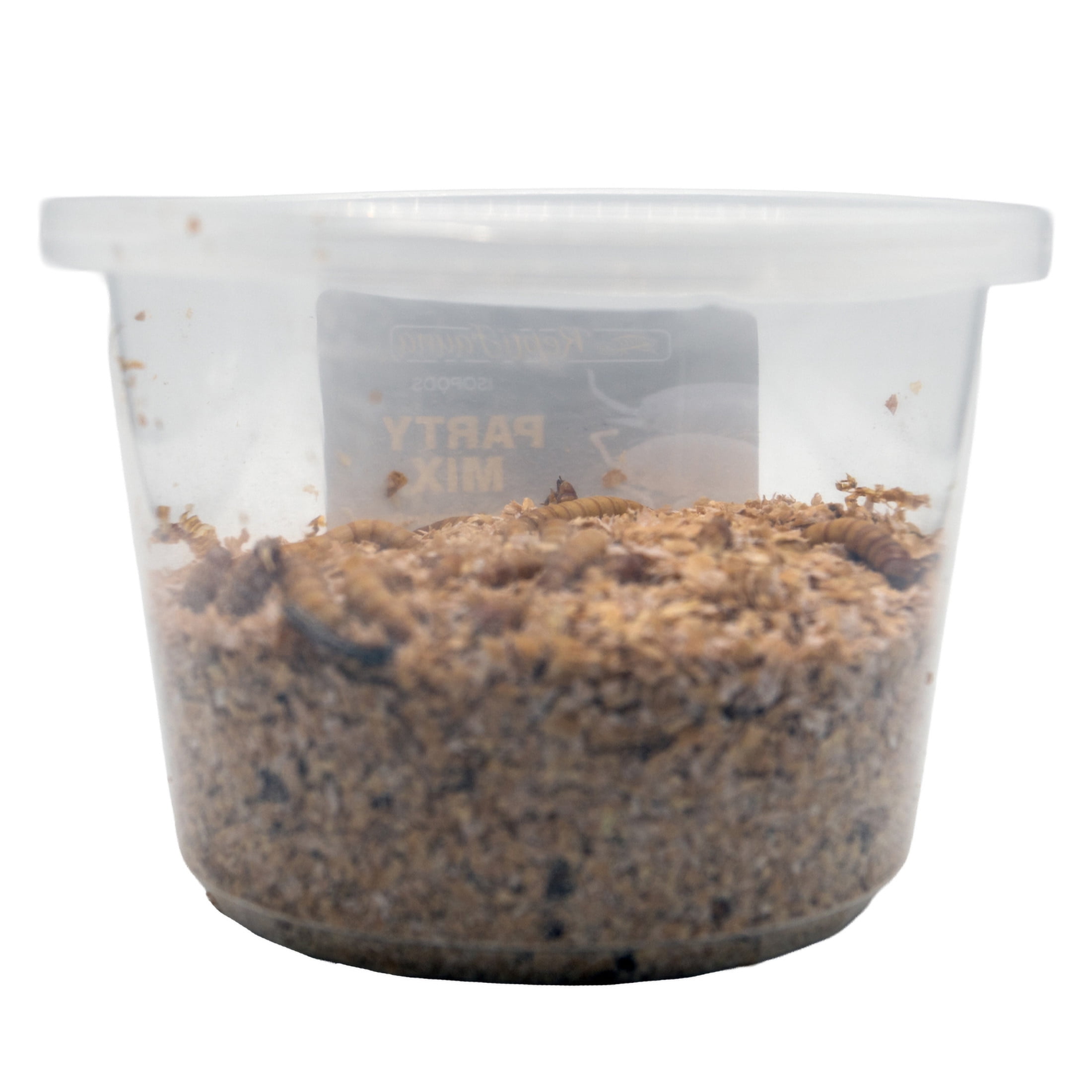 ReptiCulture Giant Mealworm 100 ct
