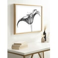 thumbnail image 5 of Kate and Laurel Blake Lily X Ray Floral BW Framed Printed Glass Wall Art by The Creative Bunch Studio, 18x24 Natural, Decorative Modern Flower Art Print for Wall, 5 of 6