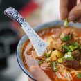 thumbnail image 3 of Shisuyan 2pcs Asian Spoons Soup Spoon Ceramic Spoon Ramen Spoon Retro Porcelain Spoon, 3 of 8