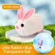thumbnail image 1 of Juguete de pelota rodante motorizado para gatos y bebés | Juguete de ejercicio para gatear con rotación automática de 360° para mascotas y bebés | Pelota interactiva de plástico resistente con rueda, 1 of 3