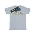 thumbnail image 1 of Harry Potter Womens Full Colour Logo Cotton Boyfriend T-Shirt, 1 of 3