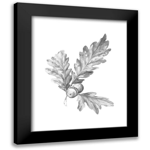 Caroline, Emma 12x14 Black Modern Framed Museum Art Print Titled - Oak Leaf Pencil Sketch I