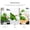 Green, variant on Rubber Dishwashing Glove Kitchen Cleaning Gloves 3-Pairs,Waterproof Reuseable.(Multicolor,Small)