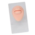 thumbnail image 1 of Silicone Lips,3D High Simulation Lifelike Elastic Mouth,  Silicone Flexible Model For Education Display, Rubber Mouth For  Practice, 1 of 8
