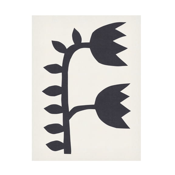 Trademark Fine Art Alisa Galitsyna Black Tulips 1 Canvas Wall Art