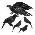 thumbnail image 1 of 5 piezas de decoraciones de de Halloween, accesorios de con plumas artificiales, cuervos realistas decorativos para fiesta, cementerio,, 1 of 9