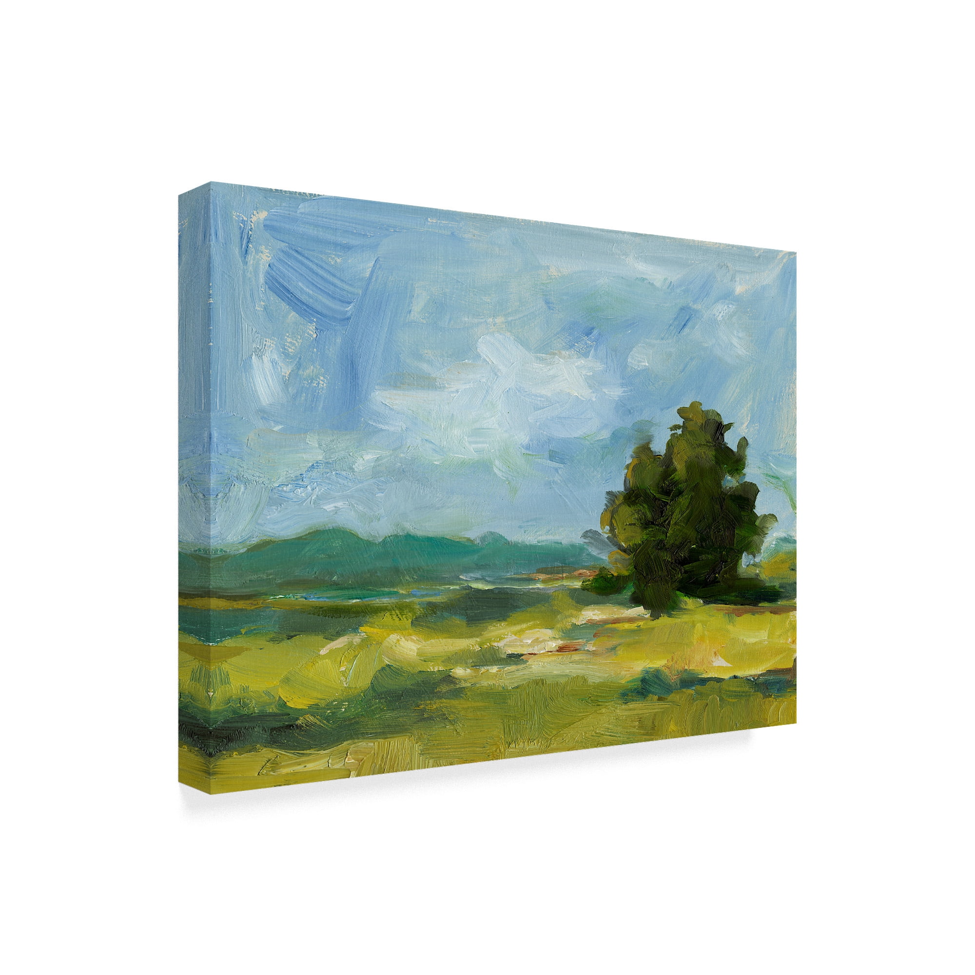 Trademark Fine Art 'Field Color Study II' Canvas Art by Ethan Harper