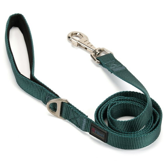 Filbert Nylon Dog Leash, Heavy Duty Leash, for Medium and Small Dogs, 3/4 inch X 4.6ft Strong and Durable, Traction Rope, Green