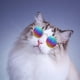 thumbnail image 4 of Fiudx Gafas de Sol de Moda para Mascotas, Diseño Retro de Montura Redonda, Lentes Reflectantes, Modernas y Cómodas, Opciones Multicolor, Perfectas para Perros y Gatos, Fotografía de Mascotas, Fiestas, 4 of 6