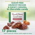 thumbnail image 4 of RUSSELL STOVER Sugar Free Pecan Delight Chocolate Candy, 10 oz. bag, 4 of 11
