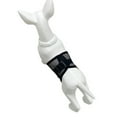 thumbnail image 4 of Reusable Pet Diapers for Male Dogs Teddy Bichon Frise Anti Mating Anti Harassment Washable Cloth Pants, 4 of 12