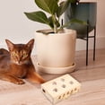 thumbnail image 3 of Toys 50% Off Clear! Wooden 5 Holes Cat Whack a Mole Toy, Cat Pop Up Toy, 3-in-1 Cat Scratcher and Toy, Interactive Cat Toys for Bored Indoor Adult Cats, Cat Games, 3 of 5