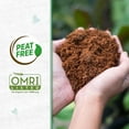 thumbnail image 6 of (3 pack) Back to the Roots Organic Coco Coir Value Pack, 10 lb Compressed Bag, 6 of 7