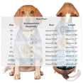 thumbnail image 2 of Dog Shirt,Soccer Theme Print Soft Breathable Light Pet Top,Daily Pet Wear,Outdoor Walking Outfits & Pet Party Apparel, 2 of 6