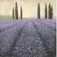 thumbnail image 2 of Art.com Lavender Horizon Detail Stretched Canvas Print Wall Art by James Wiens, 24" x 24", 2 of 4