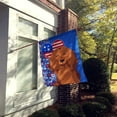thumbnail image 2 of Longhair Red Dachshund USA American Flag Canvas House Size, 2 of 5