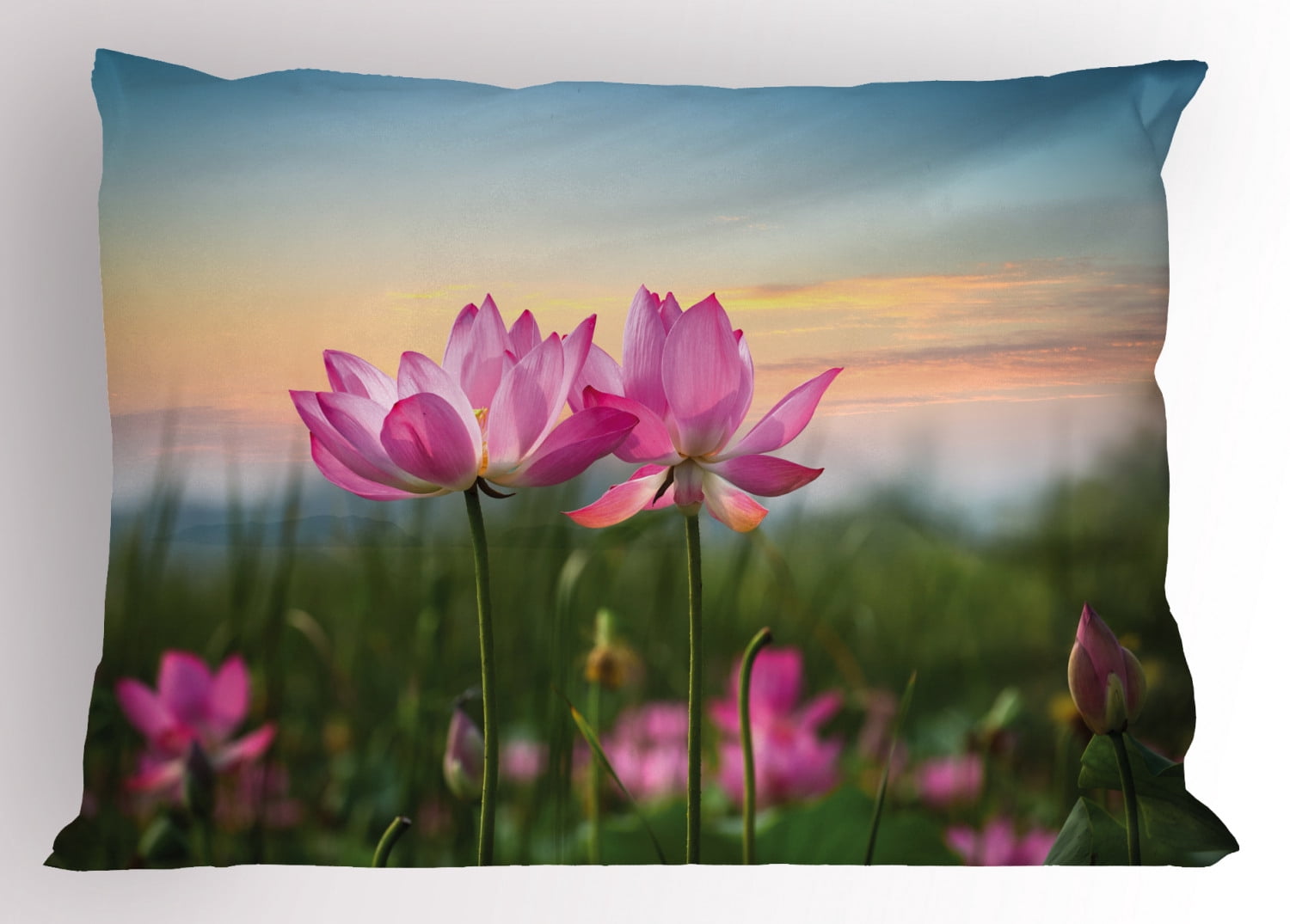 Lotus Pillow Sham Beautiful Asian Flower Blooming in Spring Meadow
