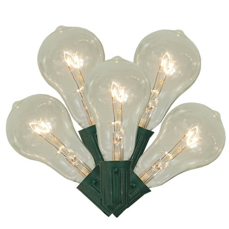 Vickerman Transparent PS50 Edison Style Patio Lights - 9' Green Wire - 10ct