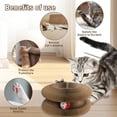 thumbnail image 7 of Accordion Magic Organ Cat Scratcher Toys for Indoor Cats - Cardboard Cat Scratching Board Ball Scratcher Pad 2 Pack, 7 of 7