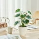 thumbnail image 5 of Artificial Potted Plants Realistic Simulation Green Plants Indoor Home Desk Bookshelf Decor Faux Greenery Decorative Houseplants for Living Room Office, 5 of 6