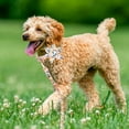 thumbnail image 7 of Sunyuer Girl Dog Collar and Leash Set with Flower Bow Tie, Floral Puppy Dog Collars with Adjustable Metal Buckle for Small Medium Large Female Dogs, Orange Flower, M, 7 of 7