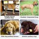thumbnail image 5 of (M: Cuadrícula naranja) Cinturón de soporte para patas traseras de mascotas, arnés de soporte para perros mayores, protector de patas traseras para perros, soporte para pasear perros, 5 of 5