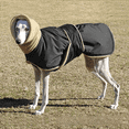 thumbnail image 5 of Traje de terciopelo cálido para perros con parche mágico a juego de colores, fácil de poner y quitar, traje multicolor para perros, 5 of 5