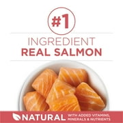 Purina ONE Plus, Indoor Advantage, Dry Cat Food, Salmon, 16 lb Bag