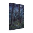 thumbnail image 2 of Trademark Fine Art 'Beauty and the Beast Moon' Canvas Art by Allen Jimmerson, 2 of 3