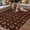 Brown, variant on Brown Horseshoe Outdoor Rug for Patio/Deck/Porch, Non-Slip Large Area Rug 5 x 7 Ft, Western Country Star Vintage Indoor Outdoor Rugs Washable Area Rugs, Reversible Camping Rug Carpet Runner