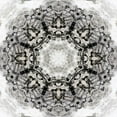 thumbnail image 2 of Nan 15x15 Black Ornate Wood Framed with Double Matting Museum Art Print Titled - Black White Kaleidoscope, 2 of 4